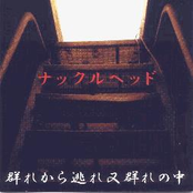 群れから逃れ又群れの中