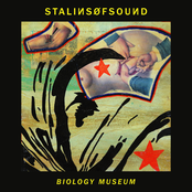 Stalins of Sound: Biology Museum