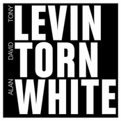 Levin Torn White