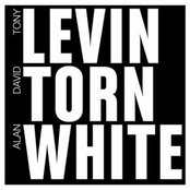 Sleeping Horse by Levin Torn White