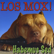 Algo Huele Mal by Los Mox!