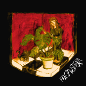 Bleacher Babe: Monstera