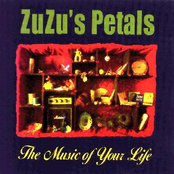 Feel Like Going Home by Zuzu's Petals