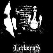 Cerberus