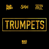 Trumpets (feat. Sean Paul)