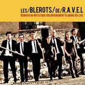 Puzzle by Les Blérots De R.a.v.e.l