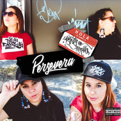 Persevera