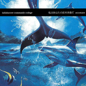 私はあなたの反対多数だ eccowave