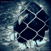 All these years in shadow