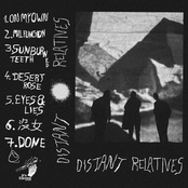 Distant Relatives: Distant Relatives