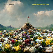 Cómo Se Mata una Flor