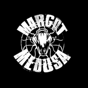 margot medusa