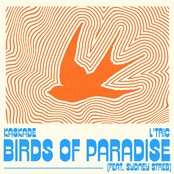 Birds Of Paradise (feat. Sydney Streb)