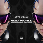 Acid World
