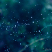 The Light / The Chase