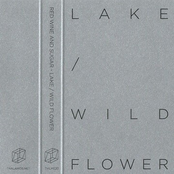LAKE / WILDFLOWER
