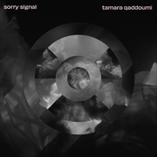 Sorry Signal - EP