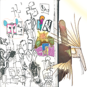 Alan Cohen Experience