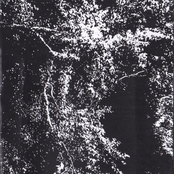 Pissmoon / Orgy Of Carrion