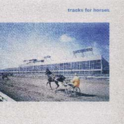 Tracks For Horses
