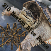 210 Newton Bite Force