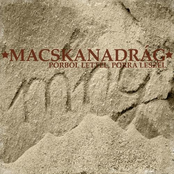 Porból lettél, porrá leszel