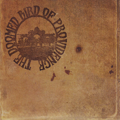 The Doomed Bird of Providence