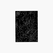 Cantegral Segment(s)