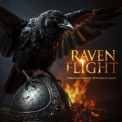 Raven Flight