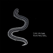 Electric Eel