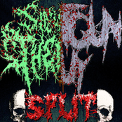 Brain Matter Split