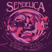 Spacehopper Blues by Sendelica