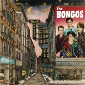 The Bongos: Beat Hotel
