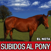SUBIDOS AL PONY