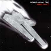 This Flame Will Never Die by Die Haut And Nick Cave