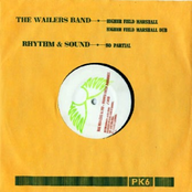 Higher Field Marshall / No Partial