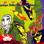 Pugs Bite The Red Knee