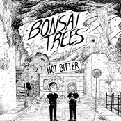 Bonsai Trees: Not Bitter