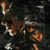 Wounded Touch: A Vivid Depiction Of Collapse