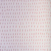 Solos For Muted Transparent