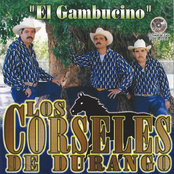 El Gambucino