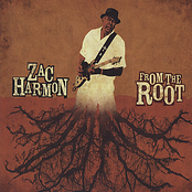 Keep The Blues Alive by Zac Harmon