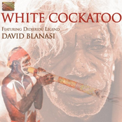White Cockatoo