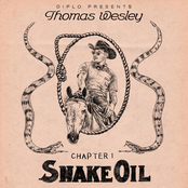 Chapter I: Snake Oil