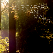 MUSICA PARA ANIMALES