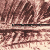 Genital Remove by Stratvm Terror