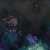 Silcasoid Beats Vol. II