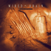 wired brain