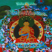 yeshe khandro