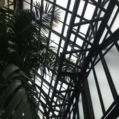 Things You Do (Black Kettle)